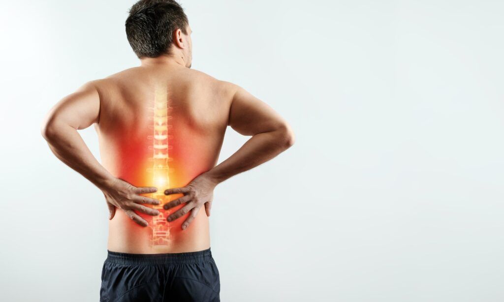 APPOINTMENTS 1 Chiropractor examining patient's spine for pain treatment at Spinal Care clinic in Sydney, serving Ingleburn and Kogarah Bay
