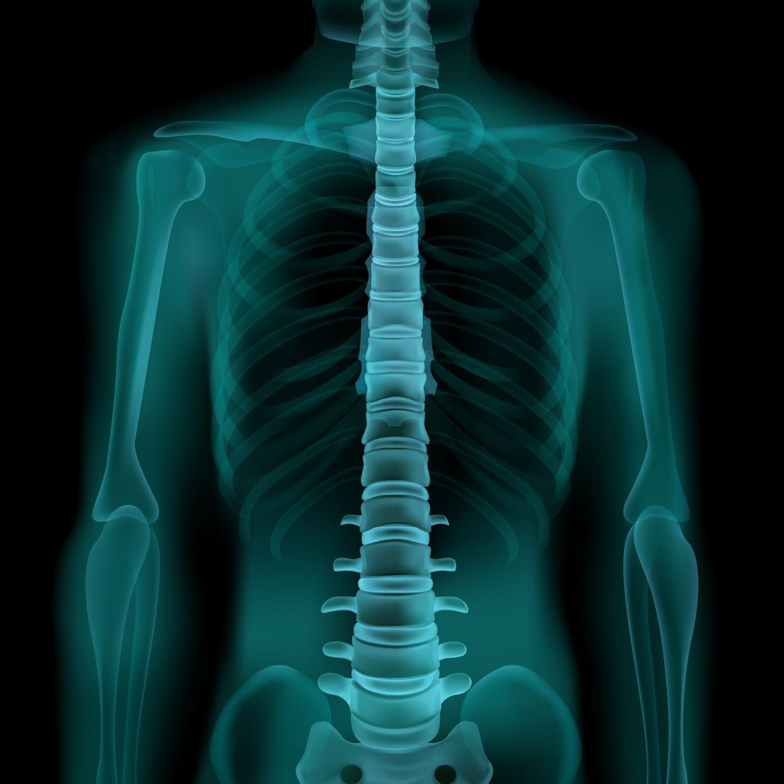 Sydney Spinal Care Chiropractic services